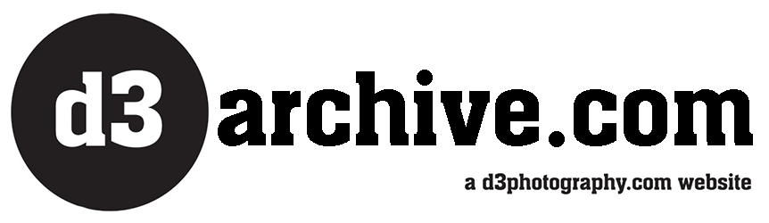 d3archive.com